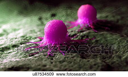 Stock Photo - Illustration of a cancer cell.. Fotosearch