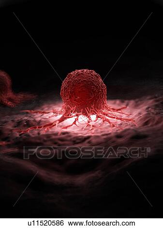 Stock Photograph - Illustration of a cancer cell.. Fotosearch