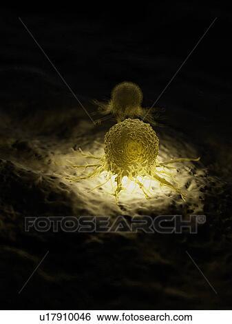 Stock Photograph - Illustration of a cancer cell.. Fotosearch