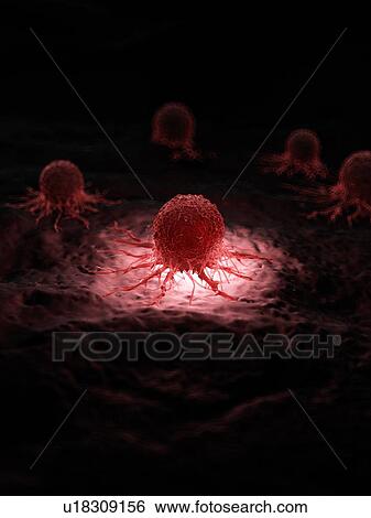Stock Photograph - Illustration of a cancer cell.. Fotosearch