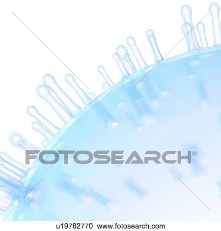 Illustration of a cell membrane. View Large Photo Image Stock Image - Illustration of a cell membrane.. Fotosearch