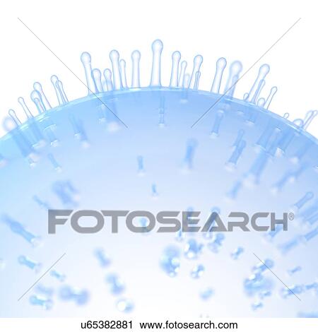 Stock Image - Illustration of a cell membrane.. Fotosearch