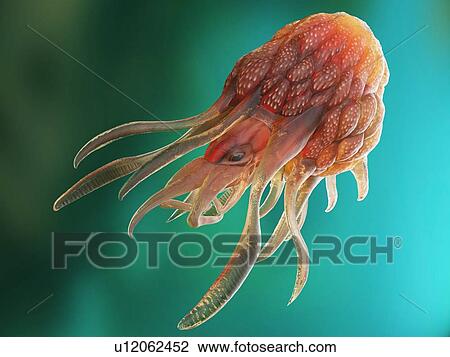 Stock Image - Illustration of a conceptual cancer monster.. Fotosearch