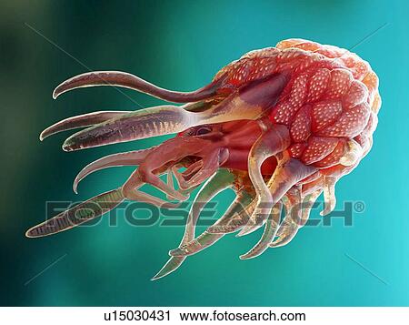 Stock Image - Illustration of a conceptual cancer monster.. Fotosearch
