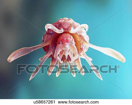 Illustration of a conceptual cancer monster. View Large Photo Image Stock Image - Illustration of a conceptual cancer monster.. Fotosearch