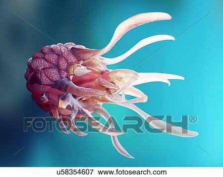 Illustration of a conceptual cancer monster. View Large Photo Image Stock Photo - Illustration of a conceptual cancer monster.. Fotosearch
