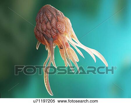 Stock Photography - Illustration of a conceptual cancer monster.. Fotosearch