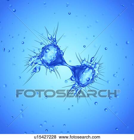 Stock Photo - Illustration of a dividing cancer cell.. Fotosearch
