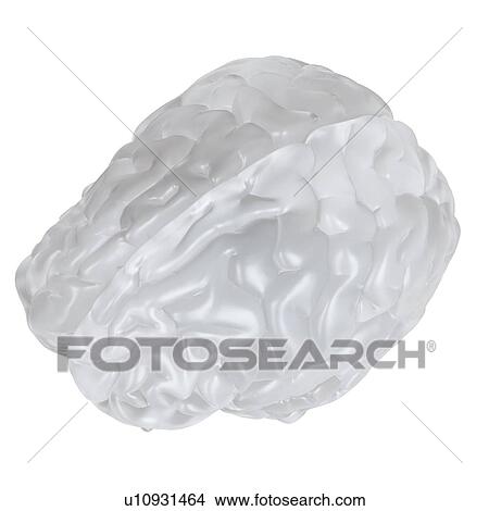 Illustration of a glass brain. View Large Photo Image Picture - Illustration of a glass brain.. Fotosearch