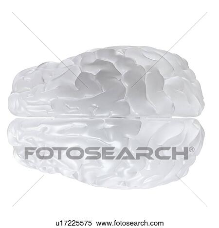 Stock Photography - Illustration of a glass brain.. Fotosearch