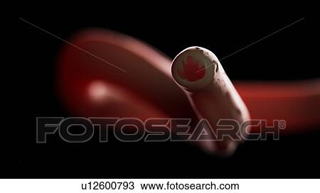 Stock Image - Illustration of a hookworm.. Fotosearch