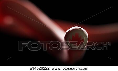 Stock Image - Illustration of a hookworm.. Fotosearch