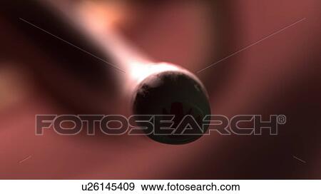Stock Photo - Illustration of a hookworm.. Fotosearch