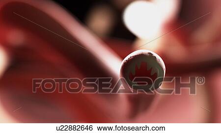 Illustration of a hookworm. View Large Photo Image Stock Photograph - Illustration of a hookworm.. Fotosearch