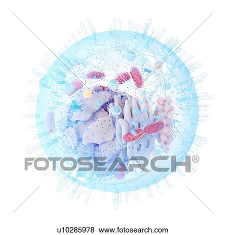 Illustration of a human cell. View Large Photo Image Stock Photo - Illustration of a human cell.. Fotosearch