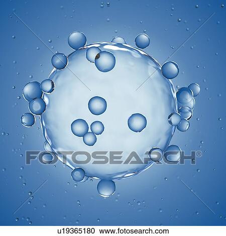 Illustration of a human egg cell. View Large Photo Image Stock Image - Illustration of a human egg cell.. Fotosearch