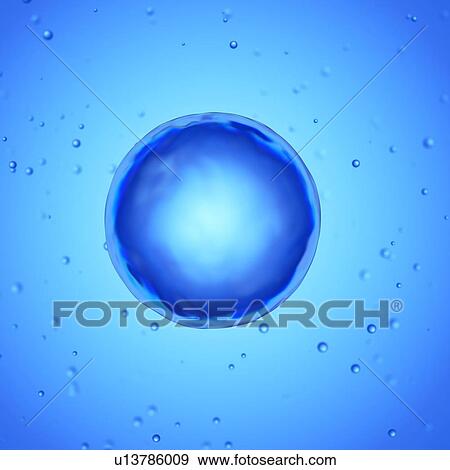 Illustration of a human egg cell. View Large Photo Image Stock Photo - Illustration of a human egg cell.. Fotosearch