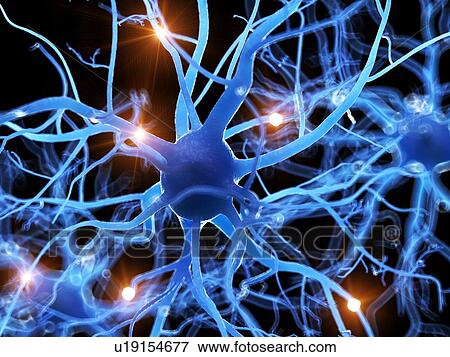 Illustration of a human nerve cell. View Large Photo Image Stock Photo - Illustration of a human nerve cell.. Fotosearch