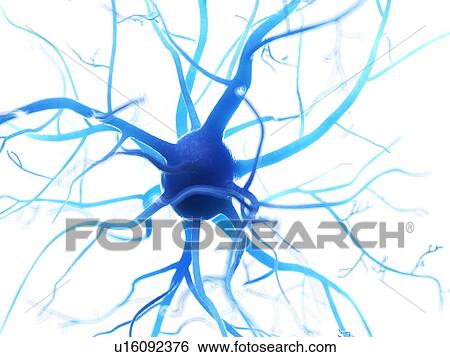 Illustration of a human nerve cell. View Large Photo Image Stock Photograph - Illustration of a human nerve cell.. Fotosearch
