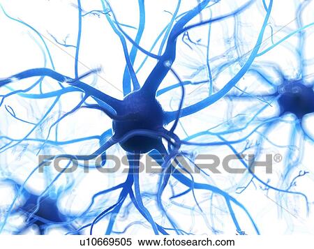 Illustration of a human nerve cell. View Large Photo Image Stock Photography - Illustration of a human nerve cell.. Fotosearch