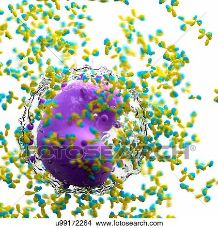 Picture - Illustration of a leucocyte and antibodies.. Fotosearch