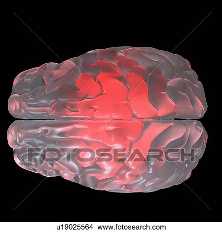 Illustration of a red glowing glass brain. View Large Photo Image Picture - Illustration of a red glowing glass brain.. Fotosearch