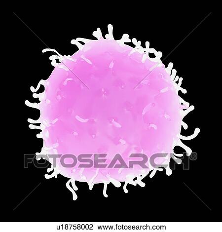 Illustration of a stem cell. View Large Photo Image Stock Image - Illustration of a stem cell.. Fotosearch