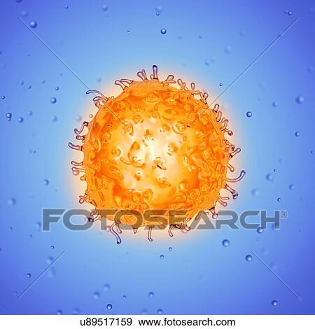 Stock Photo - Illustration of a stem cell.. Fotosearch