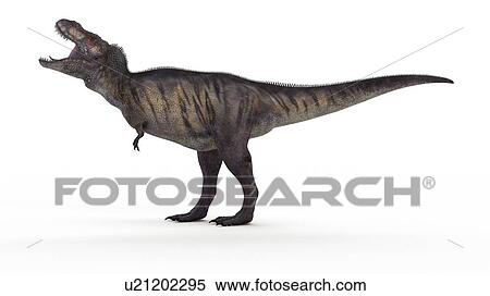Stock Photography - Illustration of a T-rex.. Fotosearch
