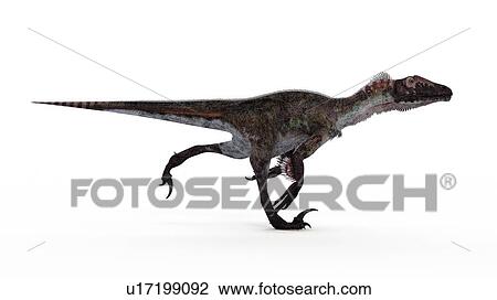 Stock Image - Illustration of a utahraptor.. Fotosearch