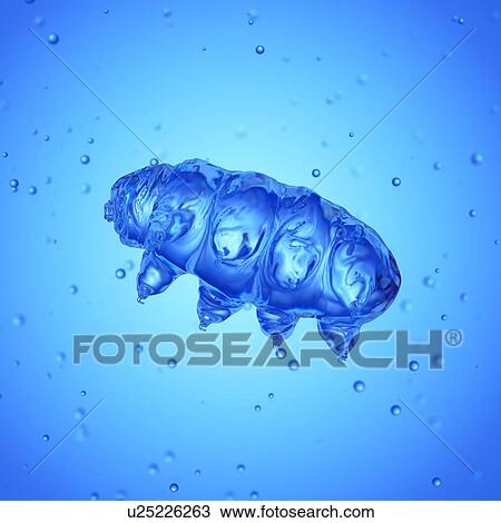 Stock Image - Illustration of a water bear.. Fotosearch
