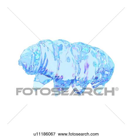 Stock Photo - Illustration of a water bear.. Fotosearch
