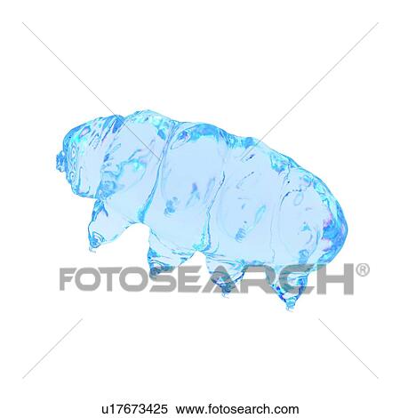 Stock Photography - Illustration of a water bear.. Fotosearch