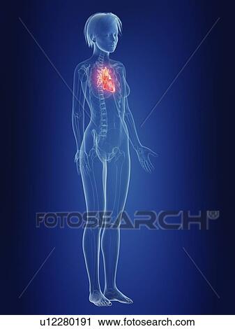 Stock Image - Illustration of a woman's painful heart.. Fotosearch