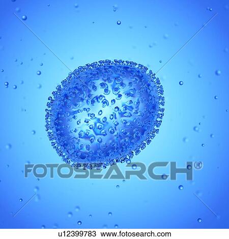 Stock Image - Illustration of an influenza virus.. Fotosearch