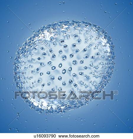 Illustration of an influenza virus. View Large Photo Image Stock Image - Illustration of an influenza virus.. Fotosearch