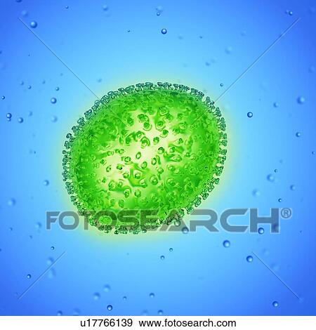 Illustration of an influenza virus. View Large Photo Image Stock Photo - Illustration of an influenza virus.. Fotosearch