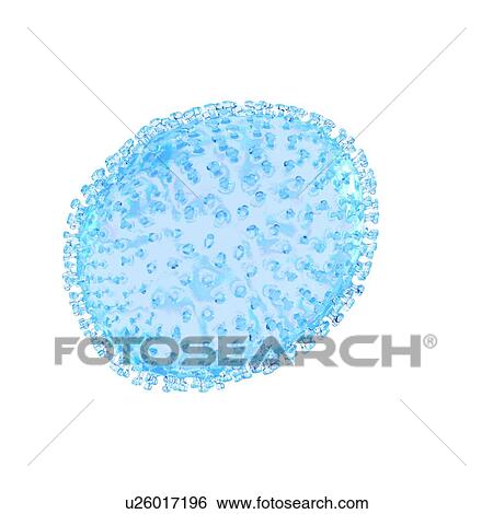 Stock Photograph - Illustration of an influenza virus.. Fotosearch