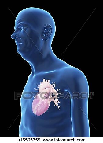 Stock Photo - Illustration of an old man's heart.. Fotosearch
