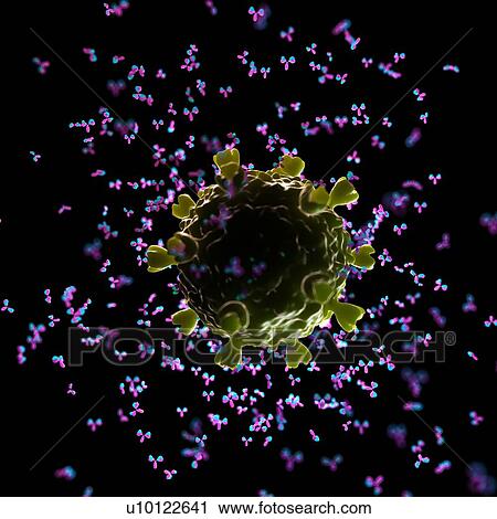 Illustration of antibodies attacking a HIV virus. View Large Photo Image Stock Image - Illustration of antibodies attacking a HIV virus.. Fotosearch