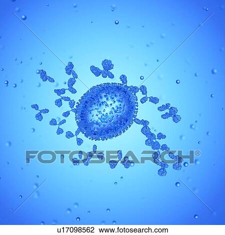 Illustration of antibodies attacking an influenza virus. View Large Photo Image Stock Image - Illustration of antibodies attacking an influenza virus.. Fotosearch