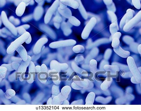 Illustration of bacteria. View Large Photo Image Picture - Illustration of bacteria.. Fotosearch