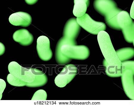Picture - Illustration of bacteria.. Fotosearch