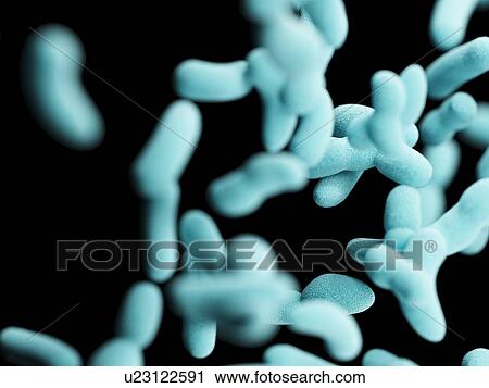 Illustration of bacteria. View Large Photo Image Stock Image - Illustration of bacteria.. Fotosearch