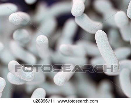 Illustration of bacteria. View Large Photo Image Stock Image - Illustration of bacteria.. Fotosearch