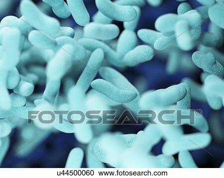 Stock Image - Illustration of bacteria.. Fotosearch