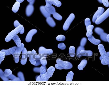 Illustration of bacteria. View Large Photo Image Stock Photo - Illustration of bacteria.. Fotosearch