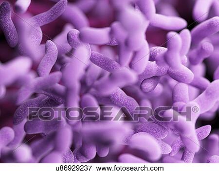 Illustration of bacteria. View Large Photo Image Stock Photo - Illustration of bacteria.. Fotosearch