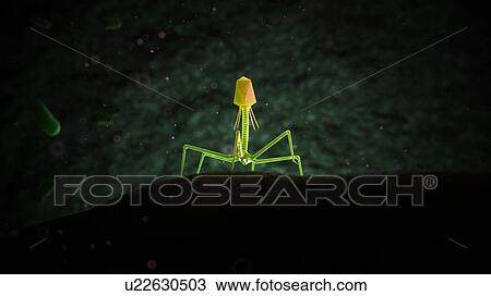 Illustration of bacteriophage. View Large Photo Image Stock Image - Illustration of bacteriophage.. Fotosearch