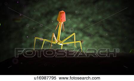 Illustration of bacteriophage. View Large Photo Image Stock Photography - Illustration of bacteriophage.. Fotosearch